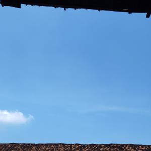 Lahan Samping Rumah - Thumbnail 4