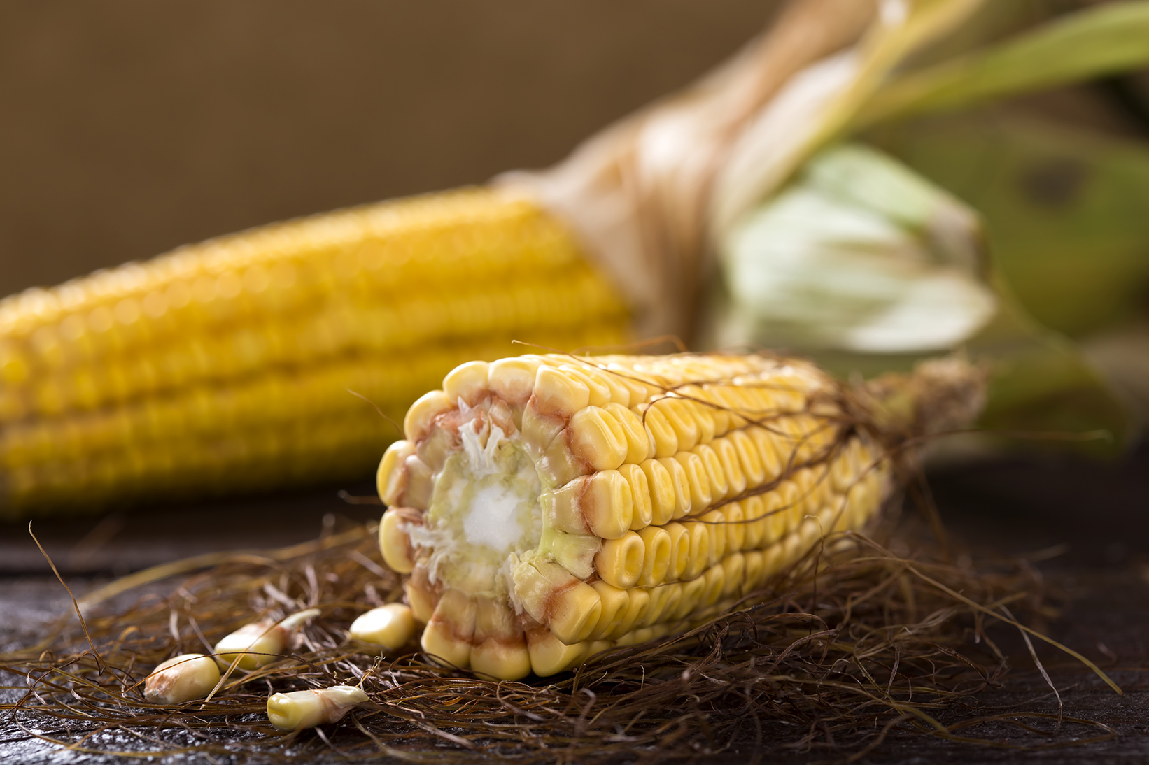 Kenali Ragam Penyakit yang Menyerang Tanaman Jagung