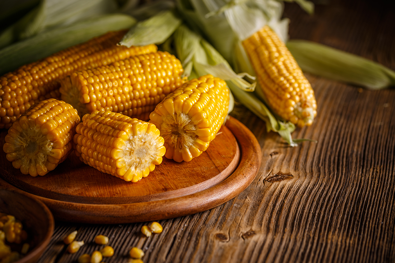 Pengendalian Hama dan Penyakit pada Tanaman Jagung