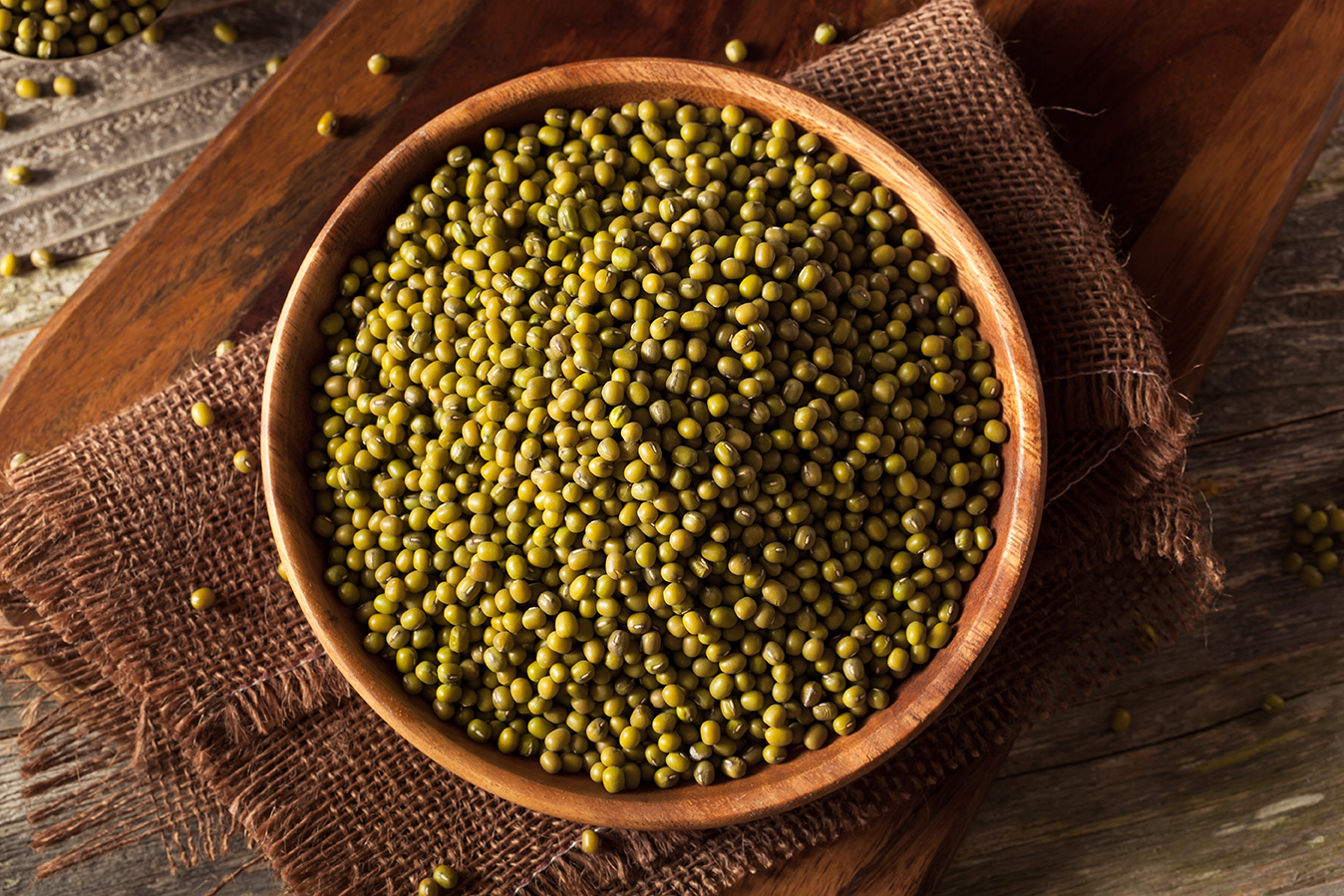 Cara dan Tips Budidaya Kacang Hijau agar Tumbuh Optimal