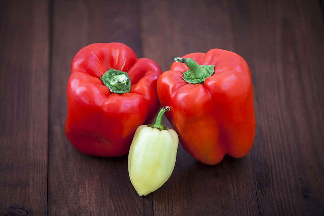 Pengendalian Hama dan Penyakit pada Tanaman Paprika