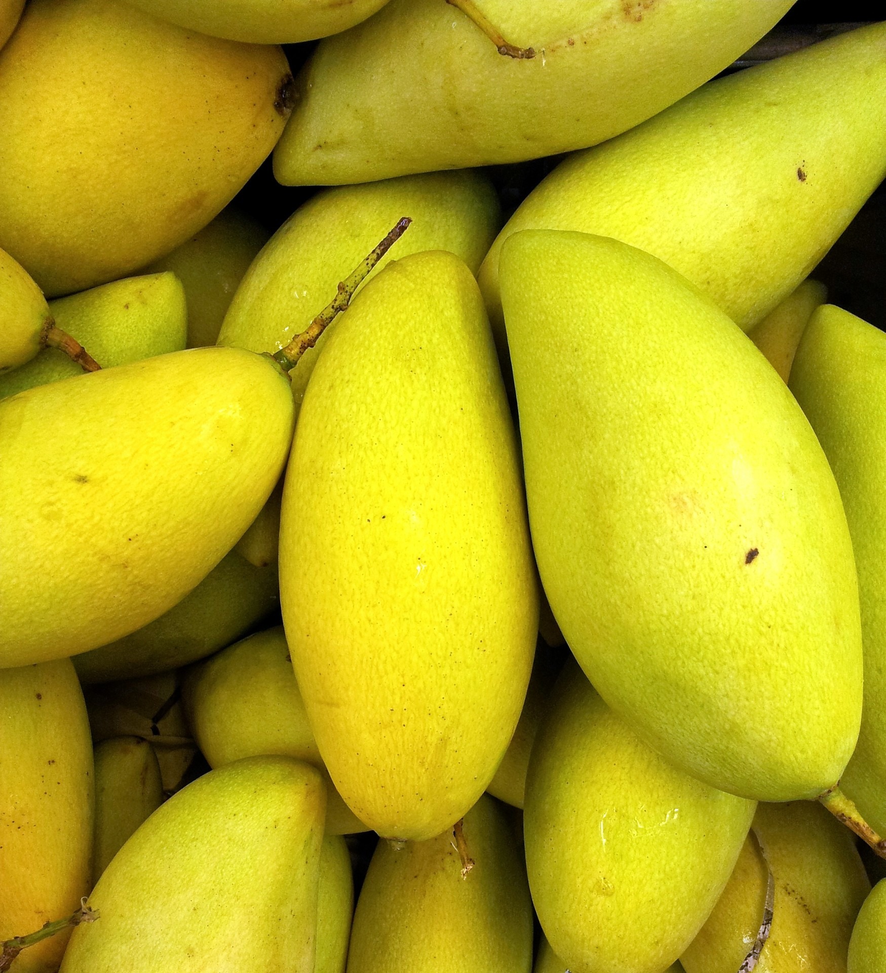 Mangga Pak Beny (Mantap!)